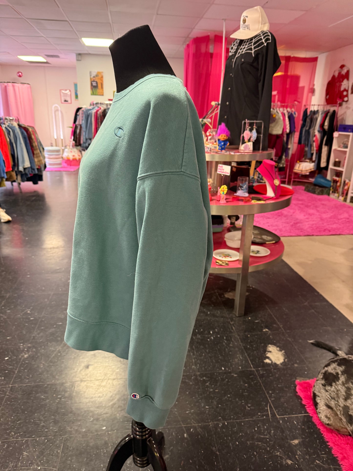 Light Green Blue Grey Chest Emblem Champion Long Sleeve Crewneck XL
