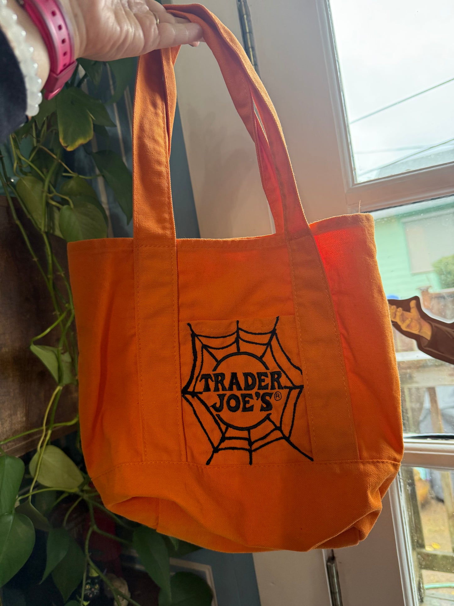 Spider Web Trader Joe's Orange Mini Tote