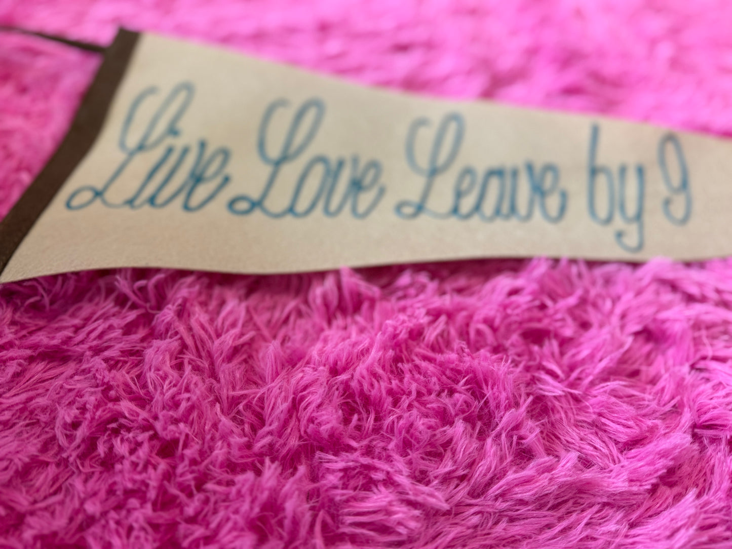 "Live Laugh Leave by 9" Pennant