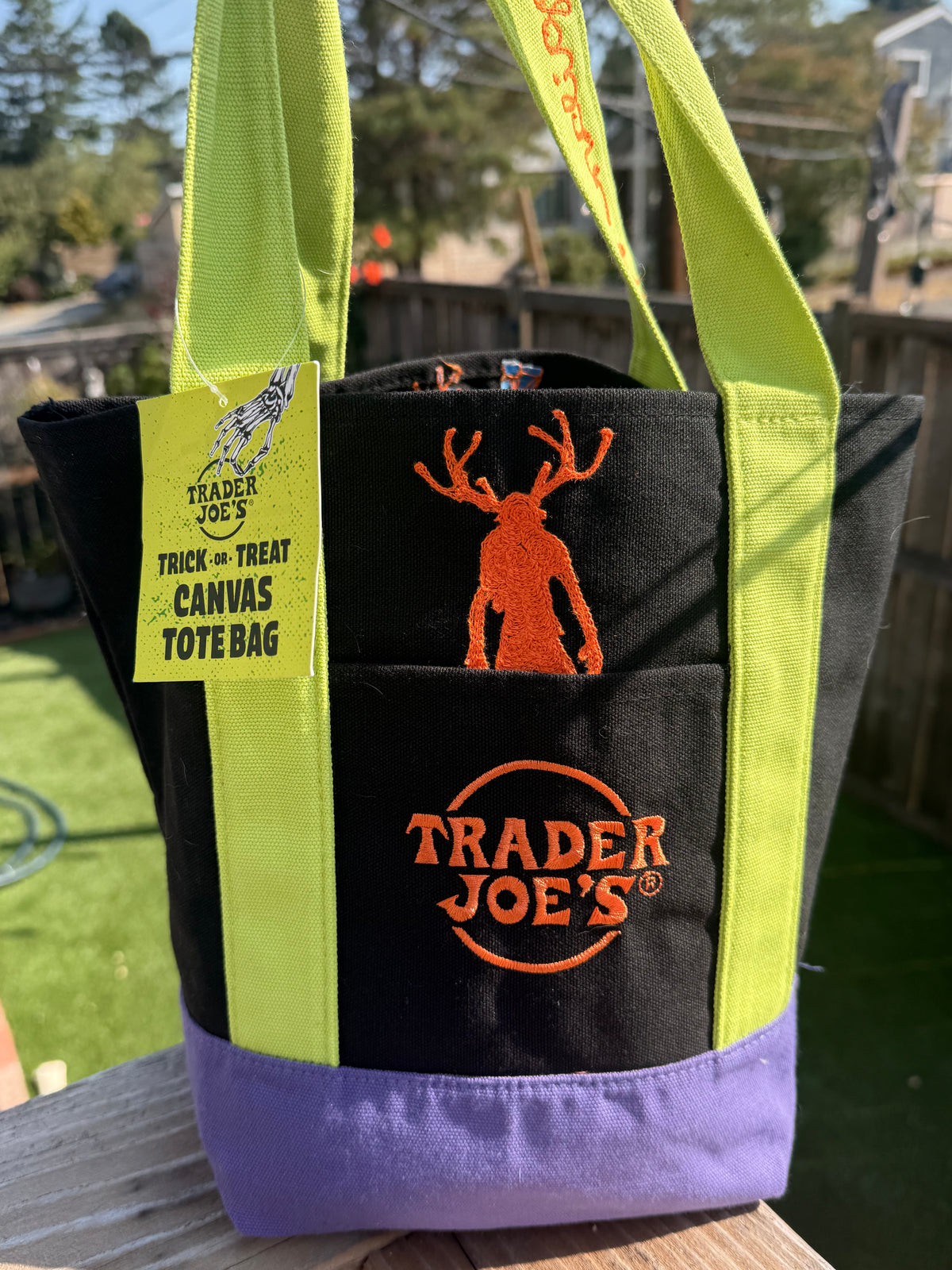Wendigo at TJs on Green, Orange, Purple Mini-Tote