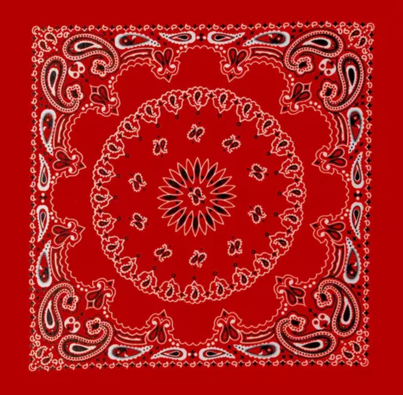 Chainstitched Cotton Paisley Bandana