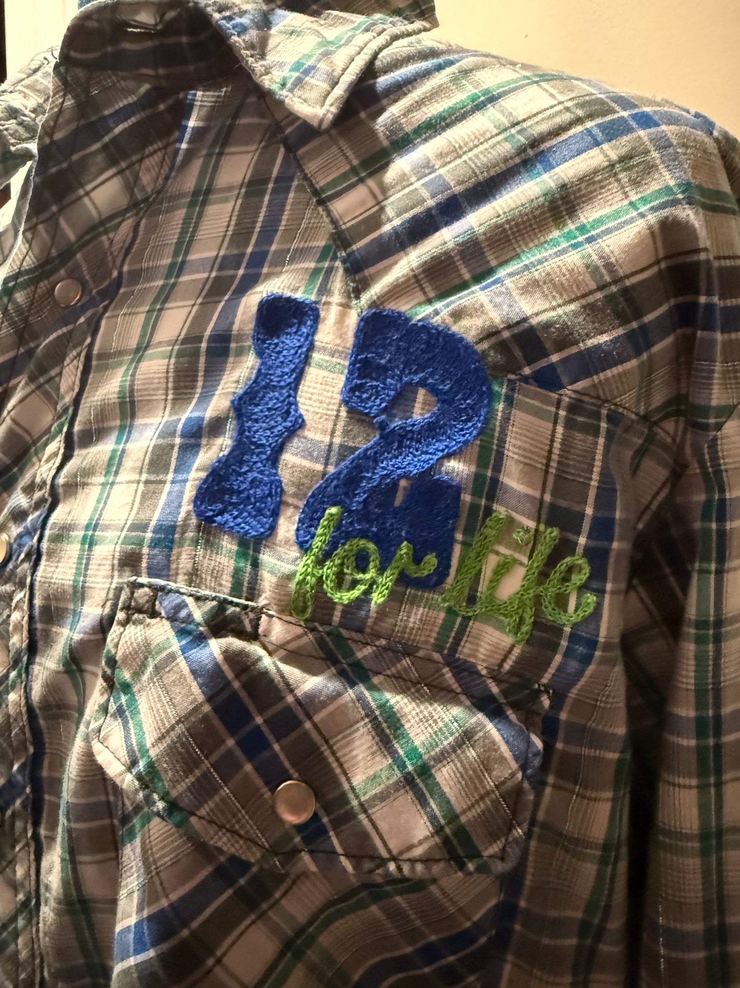 VTG 90s Green, White, Blue Plaid Metallic Seattle Seahawks Western Pearl Snap