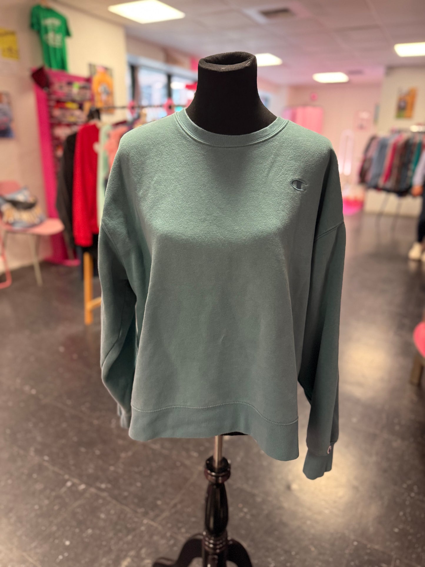 Light Green Blue Grey Chest Emblem Champion Long Sleeve Crewneck XL