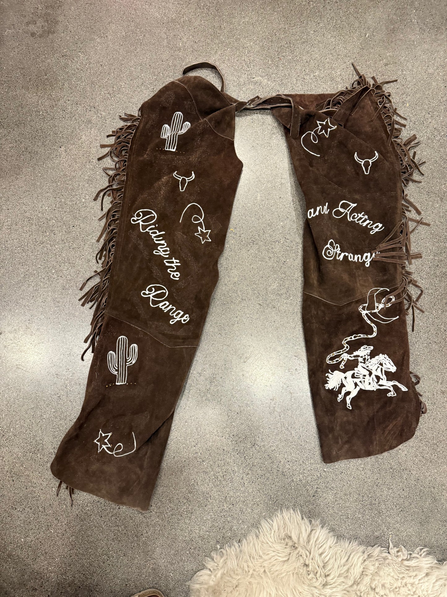 Ridin' the Range and Actin' Strange Vintage Leather Chaps