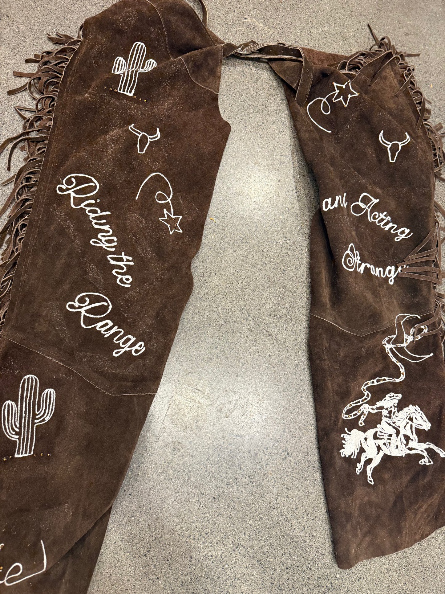 Ridin' the Range and Actin' Strange Vintage Leather Chaps