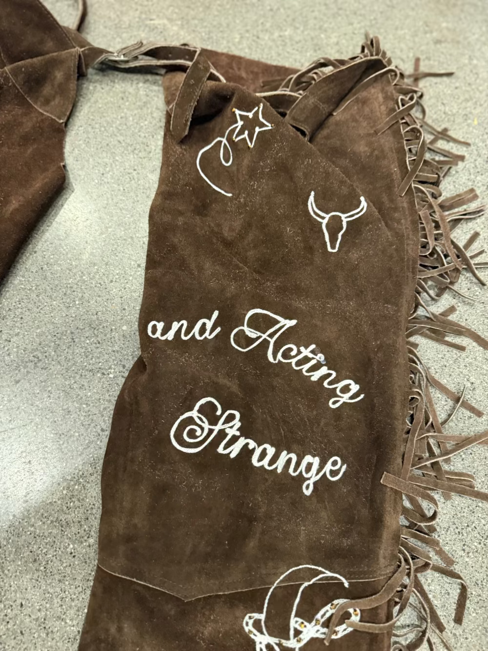 Ridin' the Range and Actin' Strange Vintage Leather Chaps