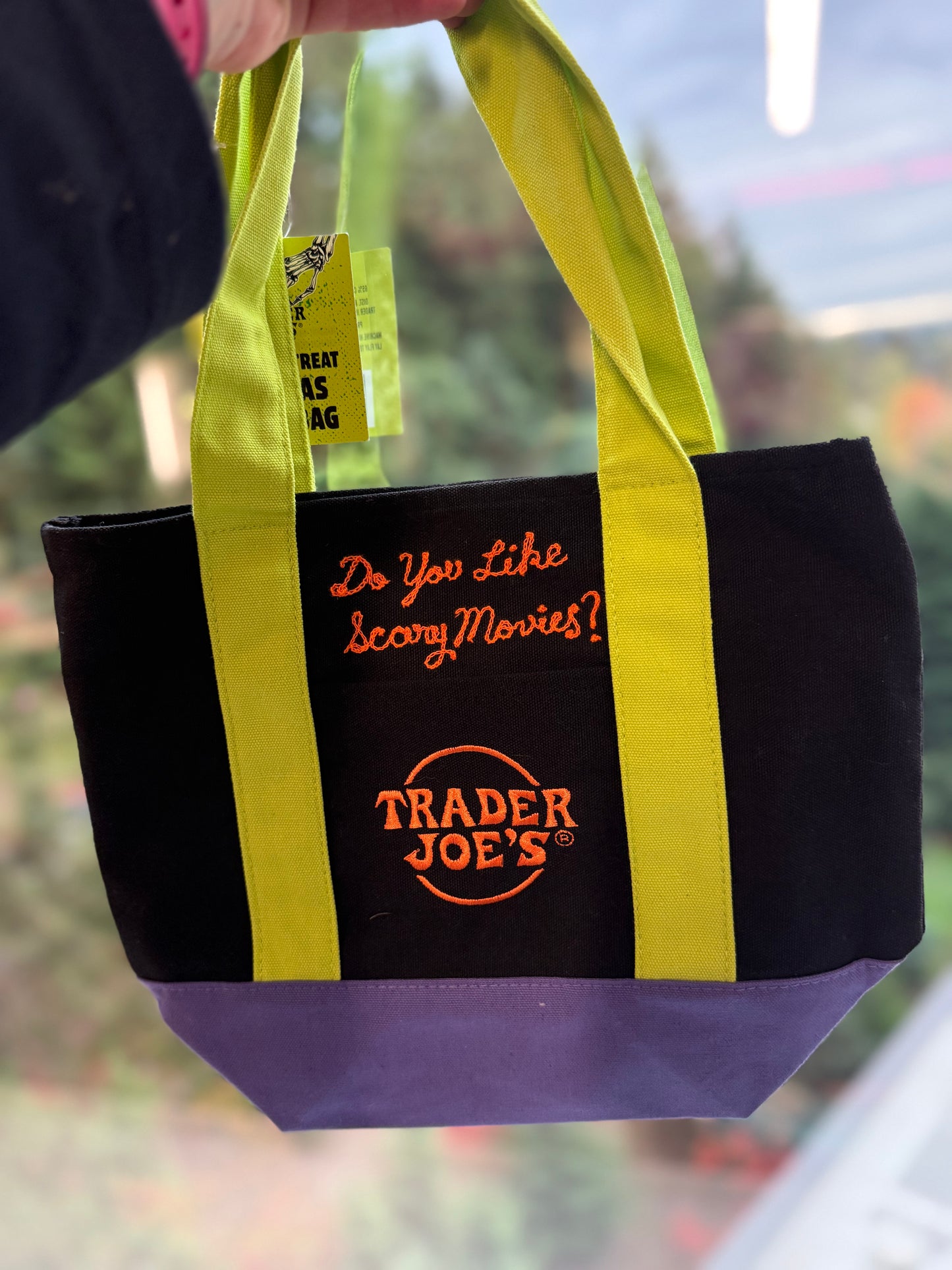 Chainstitched Trader Joe's Mini Tote