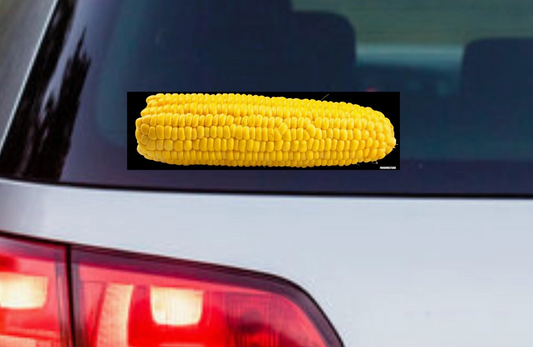 Corn Cob Bumper Sticker